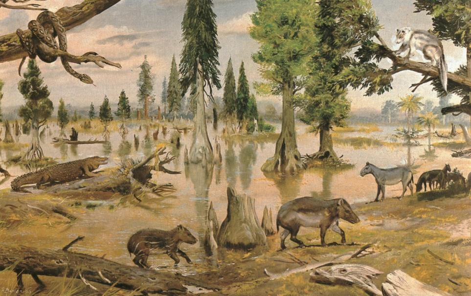  p>白垩纪-古近纪界线 i>(k-pg界线) /i>旧名白垩纪-第三纪界线 i>(k