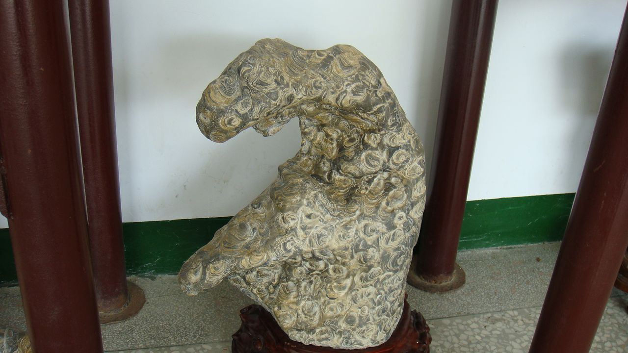  p>金钱石又名富贵石,是 a target="_blank" href="/item/灵璧石