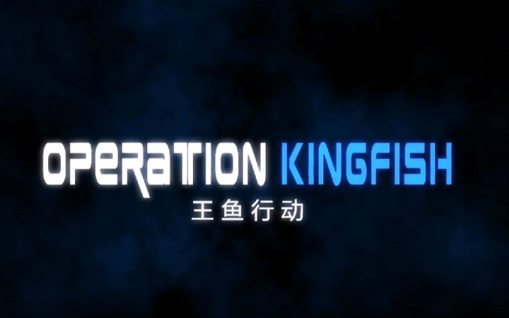 王鱼行动