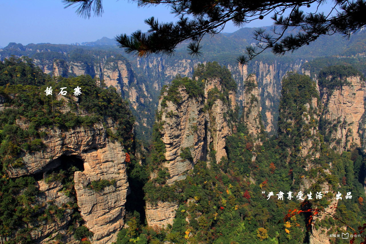 blank" href="/item/武陵源风景名胜区/2570053"