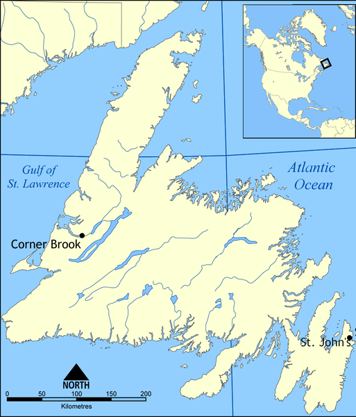  p> b>纽芬兰岛 /b>(英语:newfoundland island,法语:terre-neuve),意