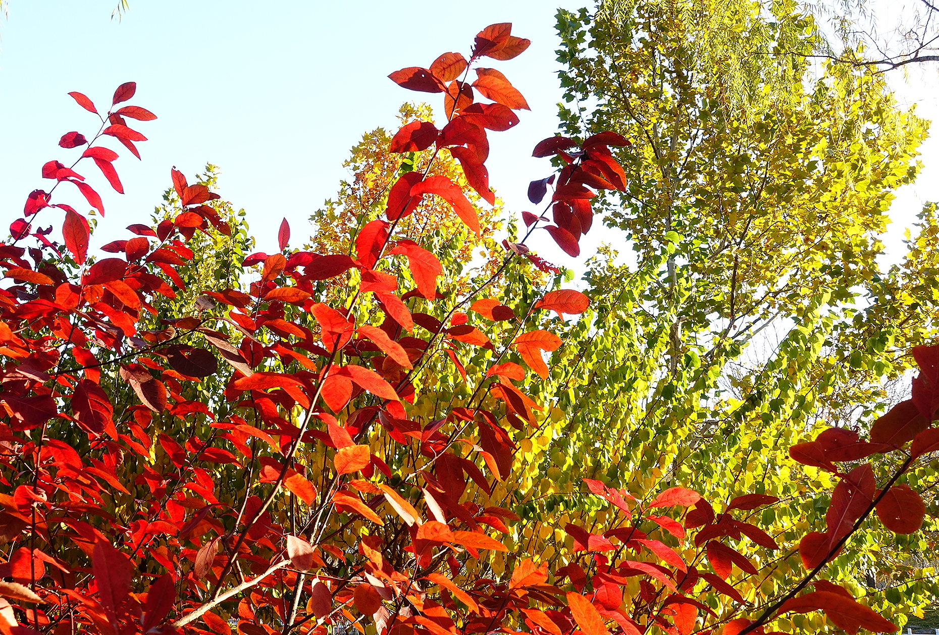  p>日月岛是大庆连环湖度假区西部一个面积约1平方公里的湖中小岛