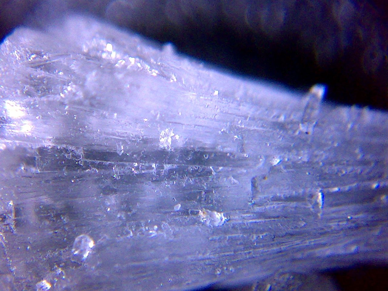  p>绿豆虫学名 a target="_blank" href="/item/象甲/1377210" data