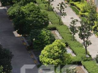 大华阳城花园(二期)