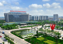 临沂  开发区，保税区，公司