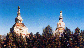 黑龙江衍福寺双塔