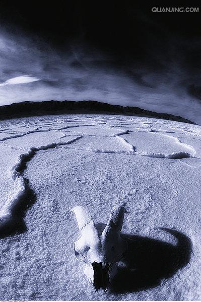  p>死亡谷国家公园(death valley national park)主要位于美国 a