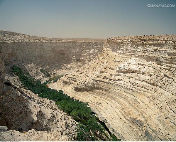  p>内盖夫沙漠(the negev desert) 横亘于以色列南方的 a href="#"
