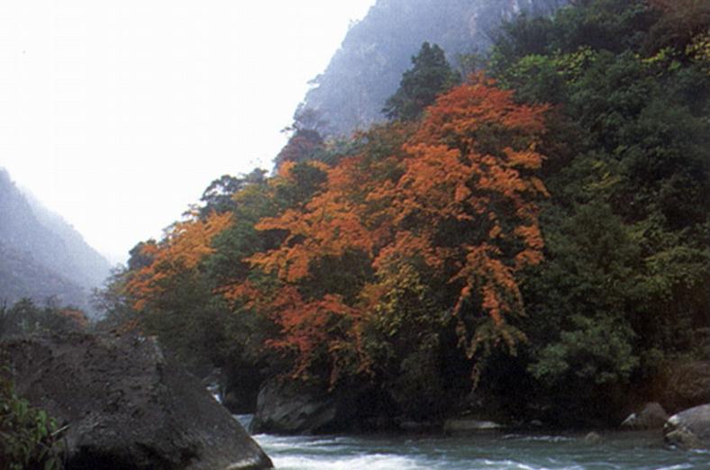  p data-id="gnx5cc492y">灵鹫山为四川省级风景名胜区,景区原始森林