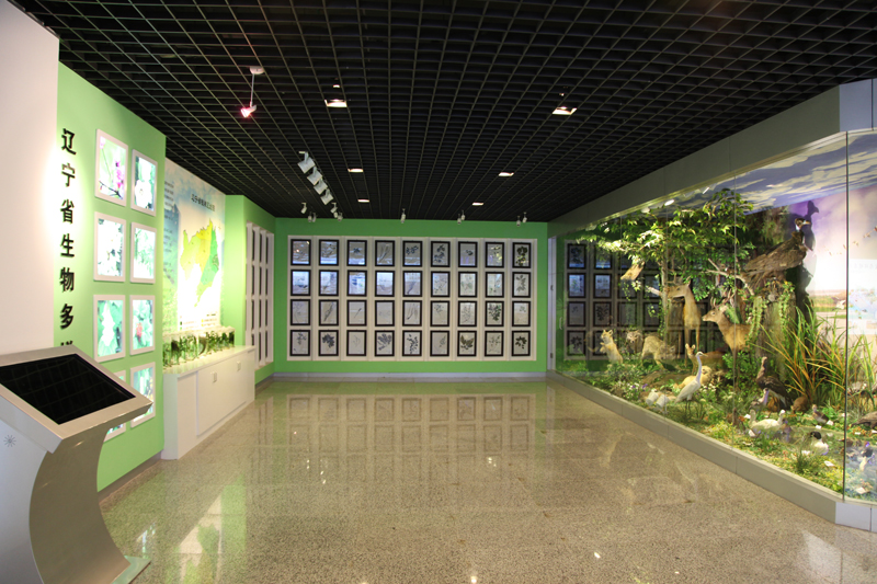 神农架动植物标本馆