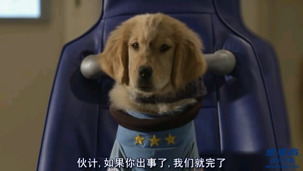  p>《太空犬》是由罗伯特·文斯执导的一部科幻/家庭类影片,狄尔里奇