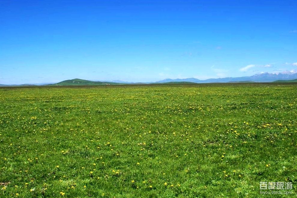  p data-id="gnb6s6fmnf">达力加山位于甘南藏族自治州夏河县甘加乡