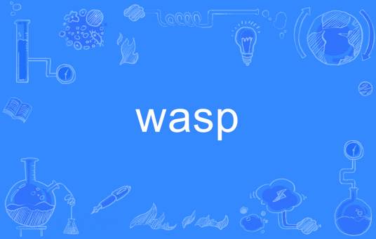 WASP（英语单词）_百度百科