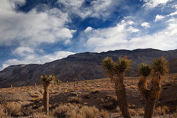  p>死亡谷国家公园(death valley national park)主要位于美国 a