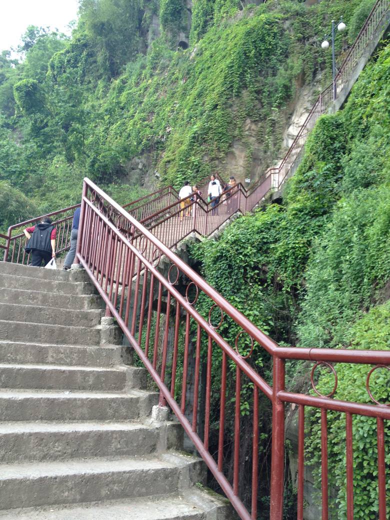 太白岩又名西山,西岩,全长3公里,最高海拔405米,占地约60公顷,有"万州