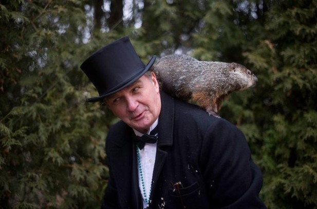  p data-id="gnyxkwxi2x">土拨鼠节(groundhog day),即公历2月2日,是