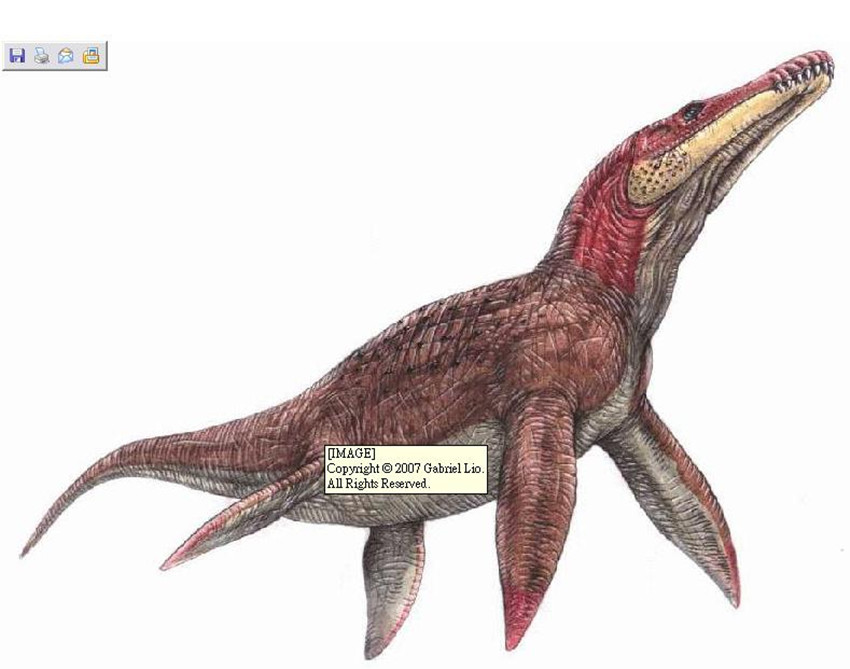 拉玛劳龙(rhomaleosaurus)