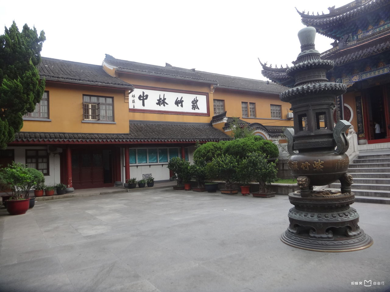 紫竹林