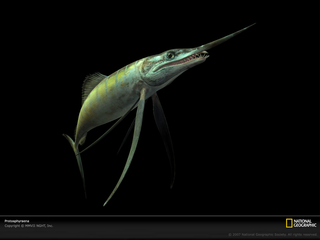  p>龙王鲸(学名:basilosaurus,意为帝王 a target="_blank" href="