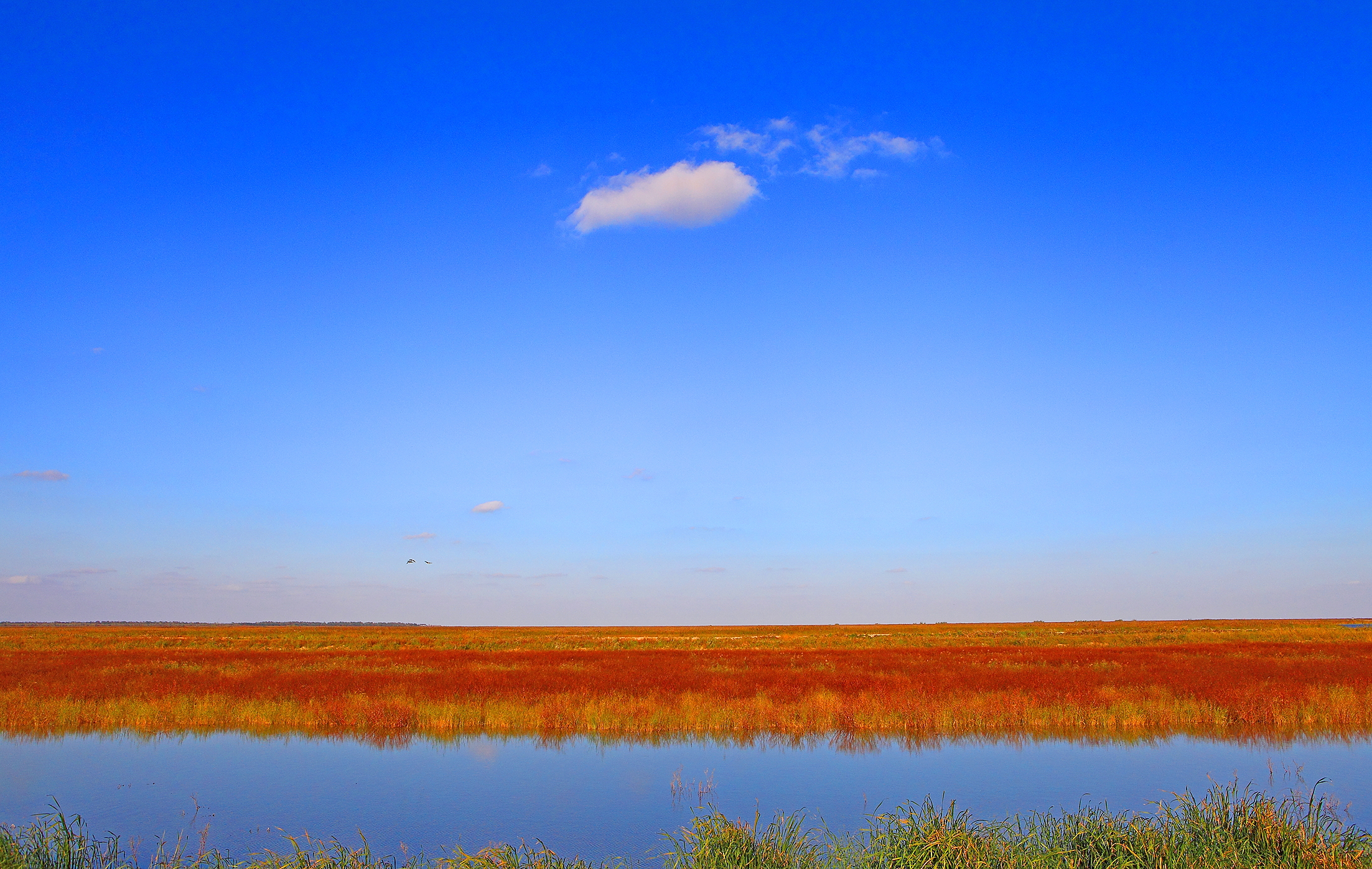 data-lemmaid="5096789">盐城市 /a>,主要由潮间带滩涂和其他滨海湿地