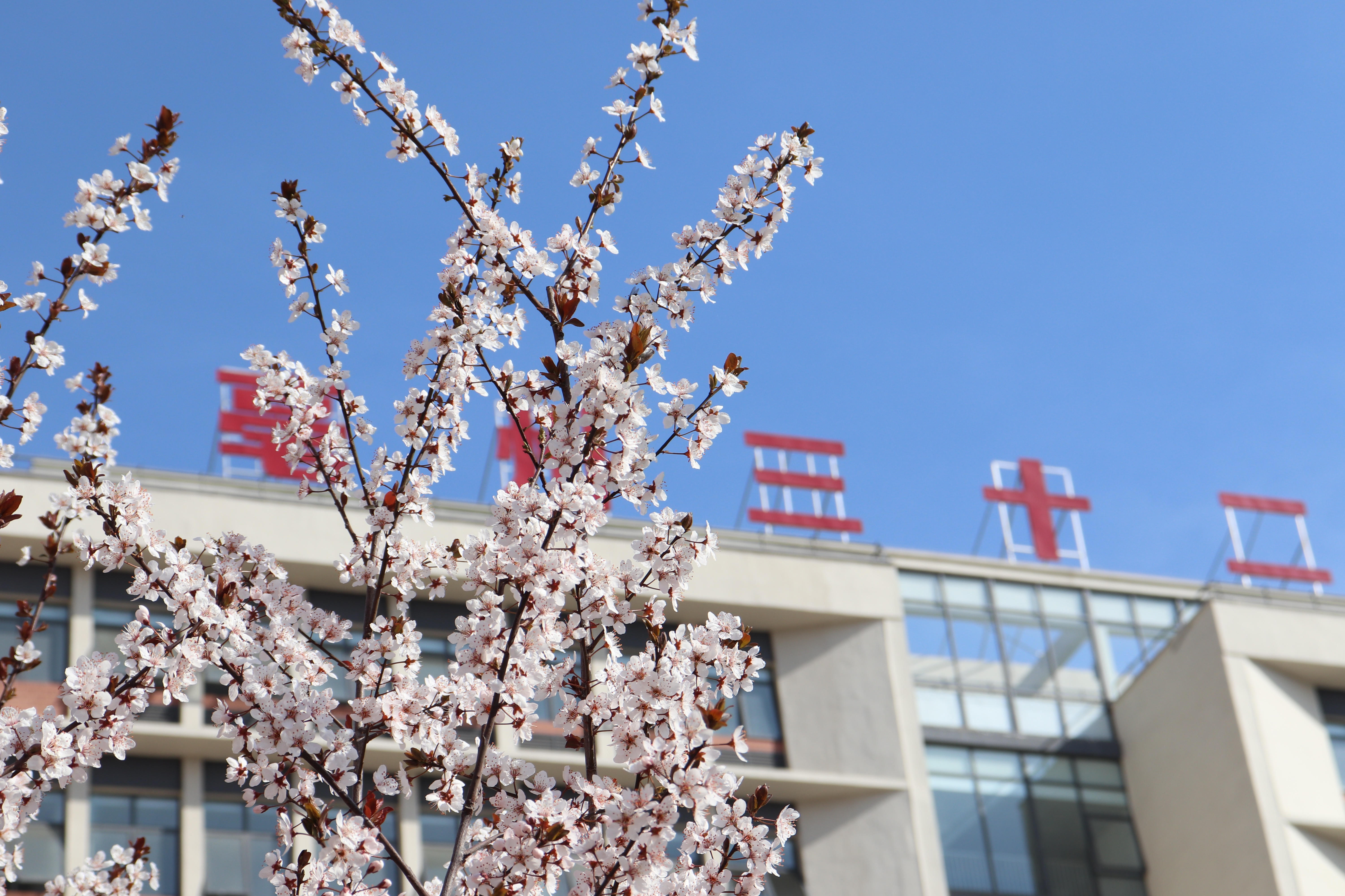 亳州市第三十二中学