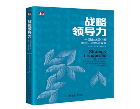 战略领导力：中国企业运作的理念、过程与效果_百度百科