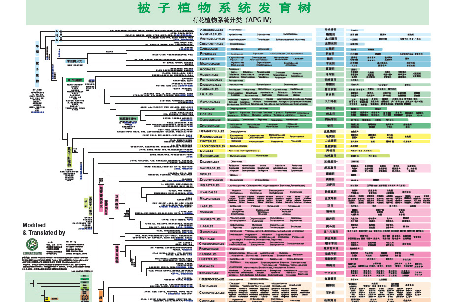  p> b>apg iv系统 /b>是由apg("被子植物系统发育研究组"的英文