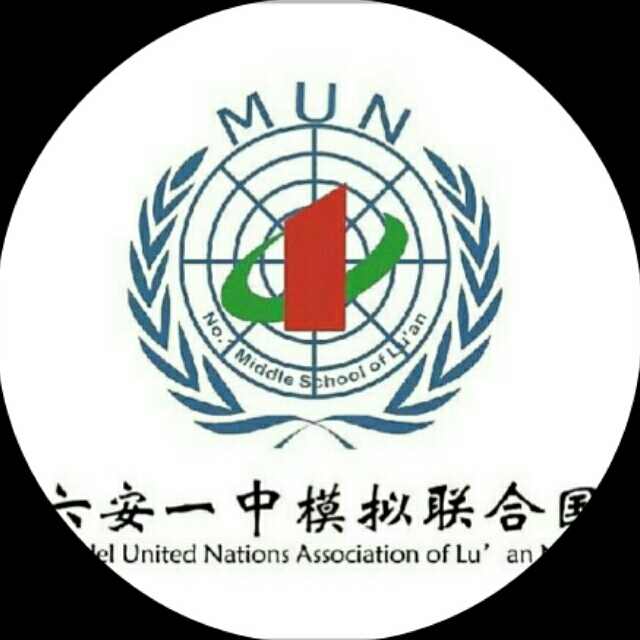 六安一中模拟联合国协会