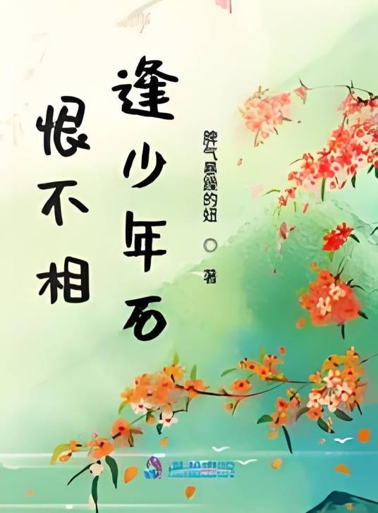 恨不相逢少年石_百度百科