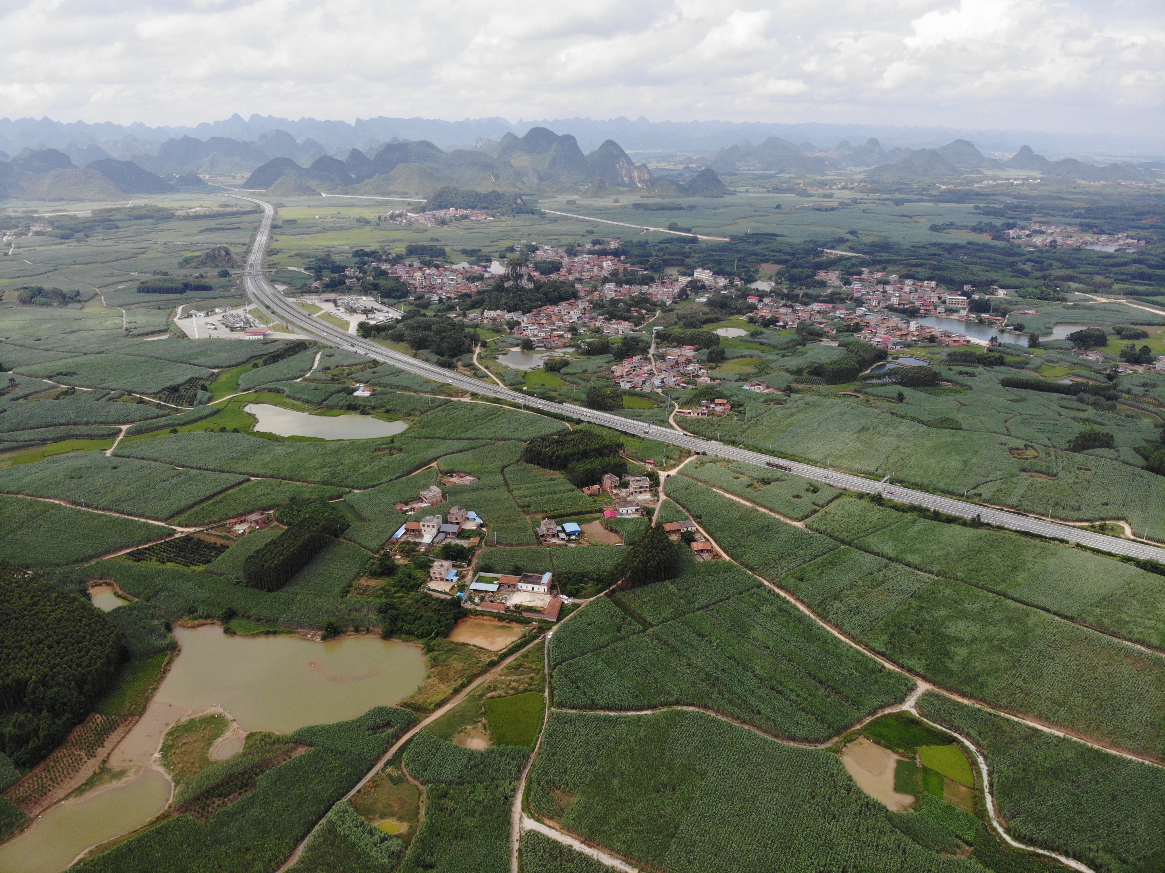  p>塘拉村,位置广西壮族自治区来宾市兴宾区迁江镇,离红水河距离约5