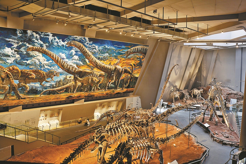 ">北碚区 /a>文星湾42号,全馆占地面积30余亩,隶属于重庆自然博物馆