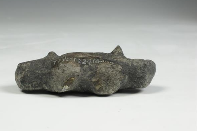 新石器时代河姆渡文化陶猪