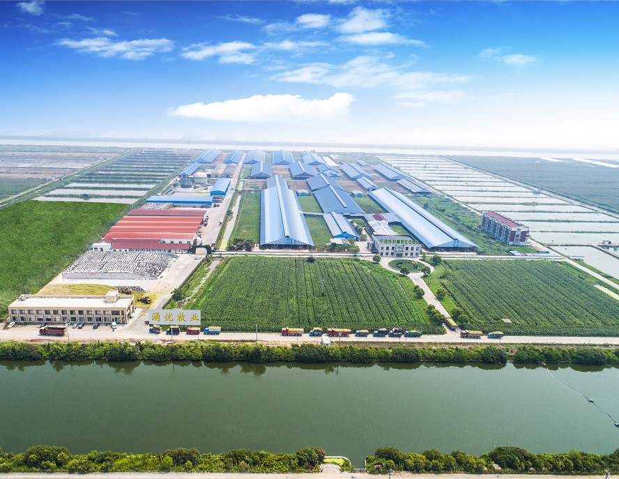  p data-id="gnbjhyu7db">宁波市牛奶集团有限公司简称宁波牛奶集团于