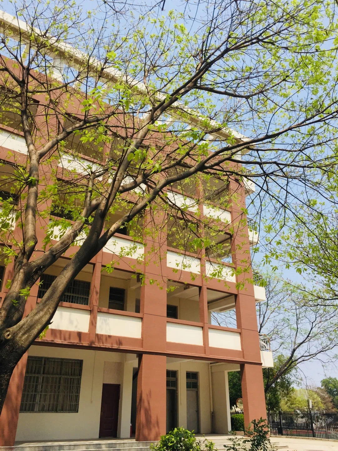 颜乐天纪念中学