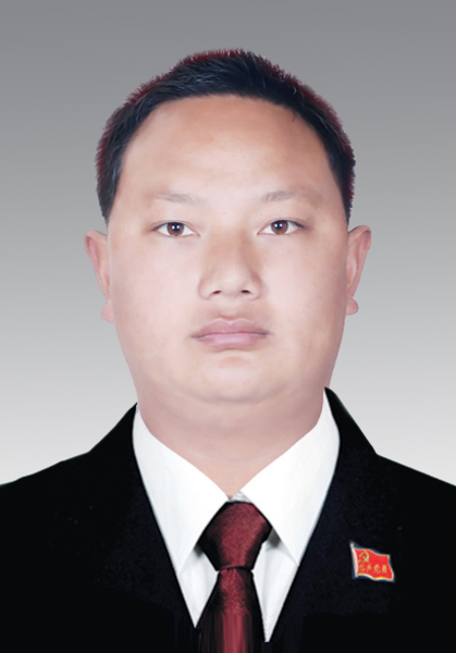 现任云南省临沧市凤庆县地震局局长
