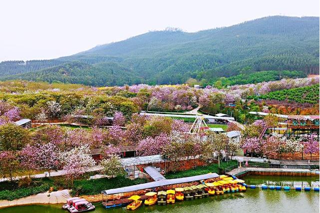赤坭镇花漾十里新乡村示范带