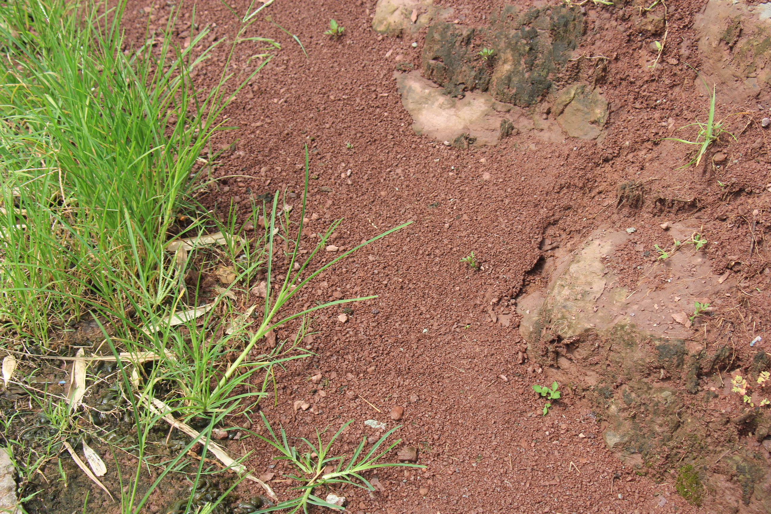 是沙壤土的一种,是土壤颗粒组成中黏粒,粉粒,砂粒含量适中的土壤,沙土