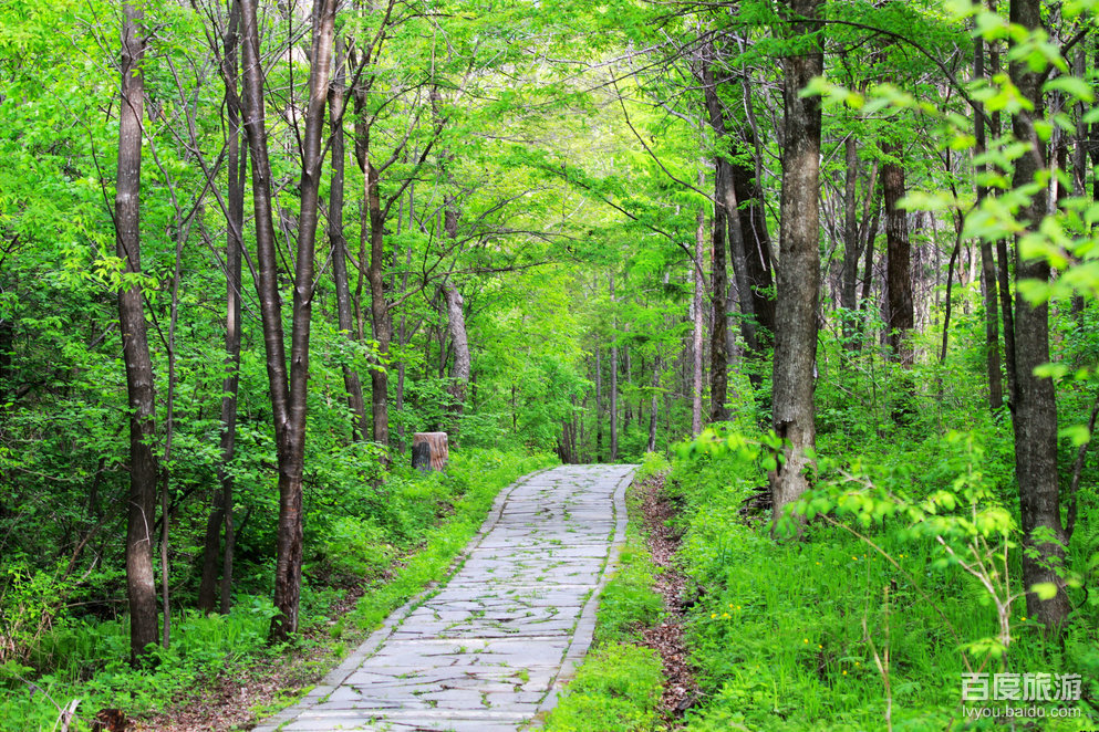 吉林省桦甸市和靖宇县行政区,公园占用林地为红石林业局重点公益林区