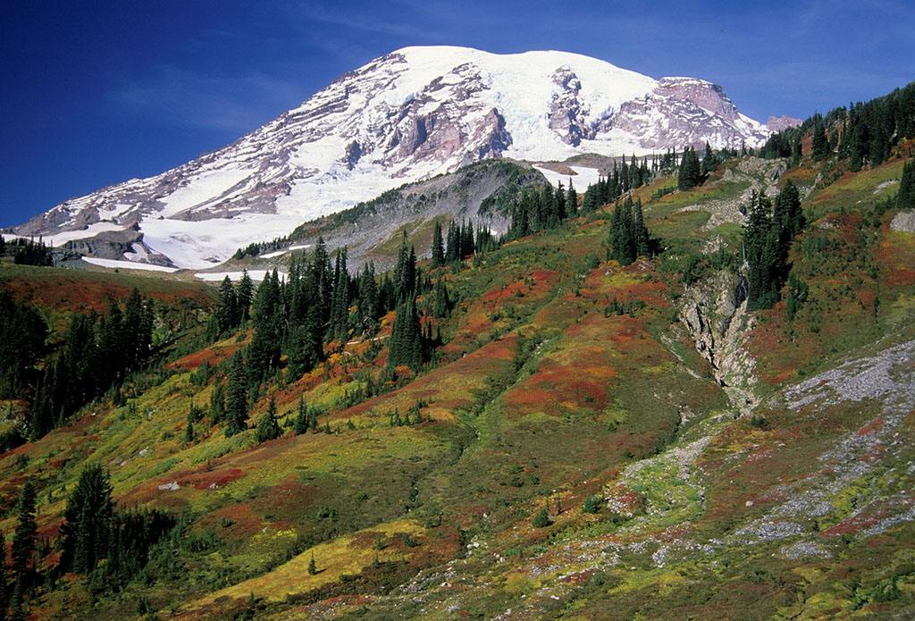 雷尼尔山