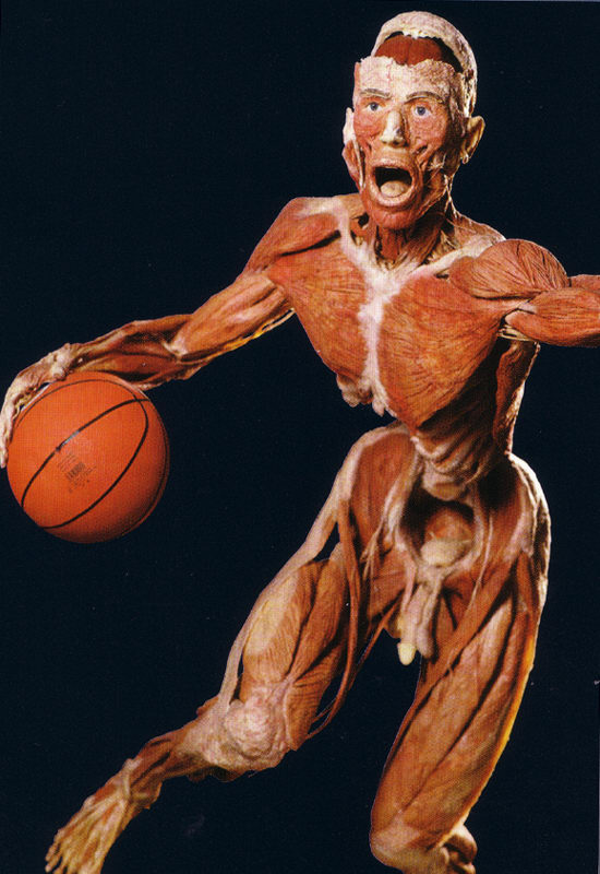 冯·哈根斯生物塑化(大连)有限公司