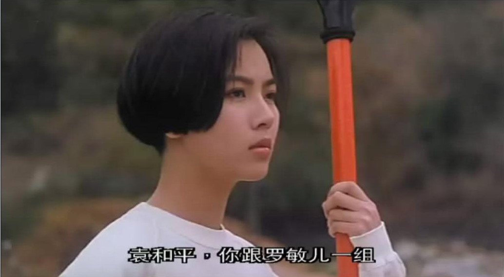  p>袁洁莹(fennie yuen),1969年9月15日生于中国香港,中国香港影视女