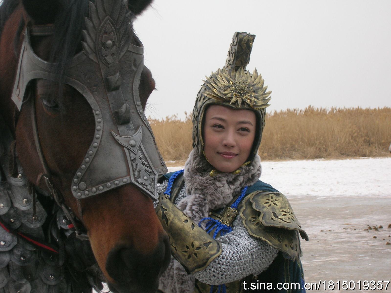 1966年12月6日出生于中国香港,满洲镶白旗人,中国香港影视女演员