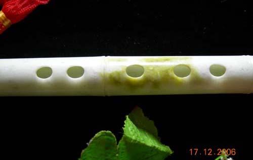  p>玉笛,是笛子的美称.说到玉笛,自古就有不少文人墨客为其赋诗立文.