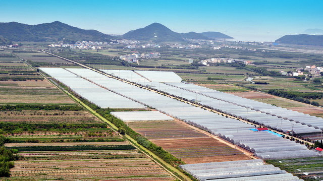  p>党家庄东村(以下简称党东村)隶属于山东省济南市党家庄镇,现为