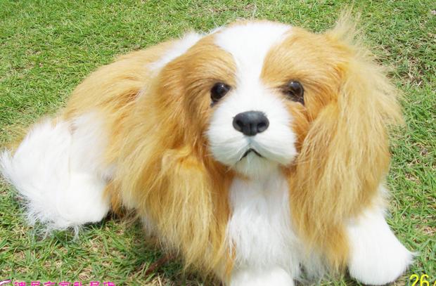  p data-id="gnb25vw6t6">仿真动物利用动物皮毛或特殊材质按照实物