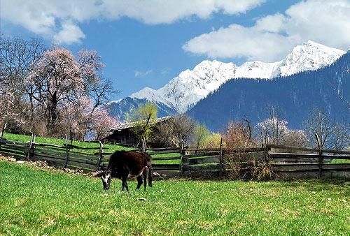 岗乡自然保护区