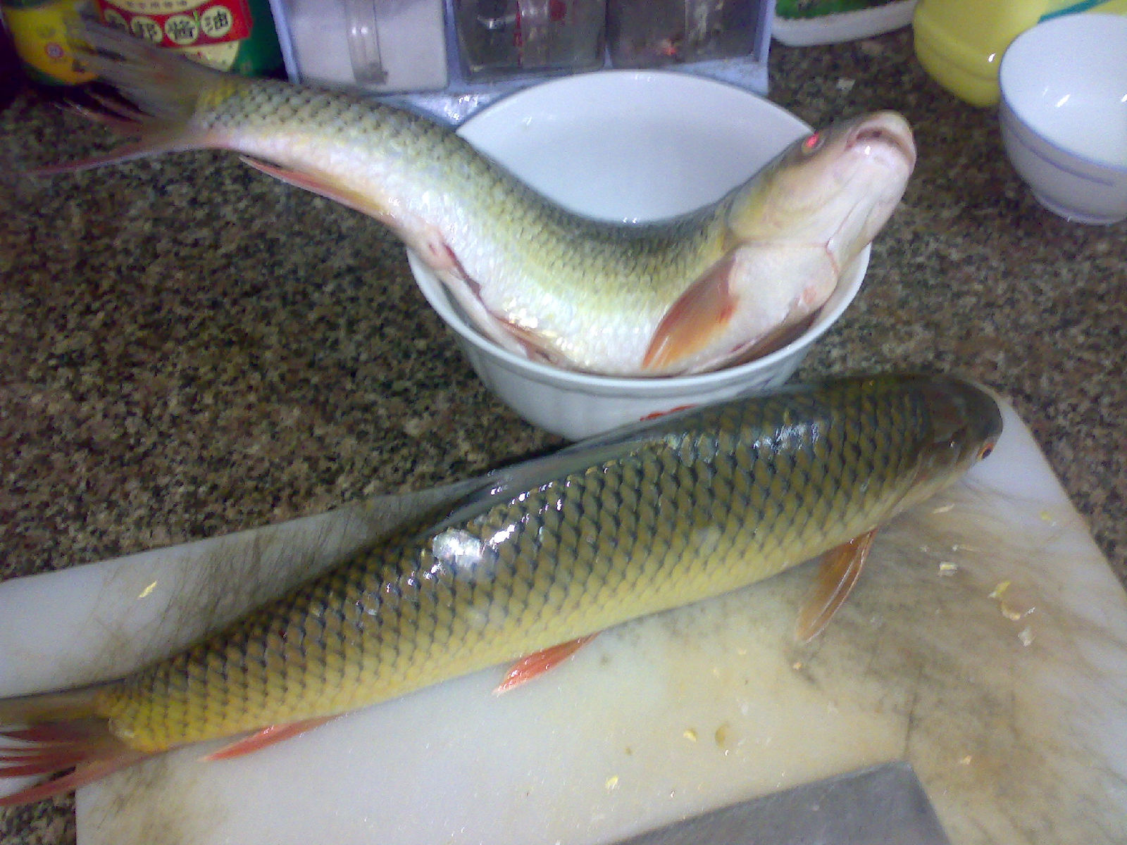  p>鲮,也叫土 a target="_blank" href="/item/鲮鱼">鲮鱼 /a>,属 a