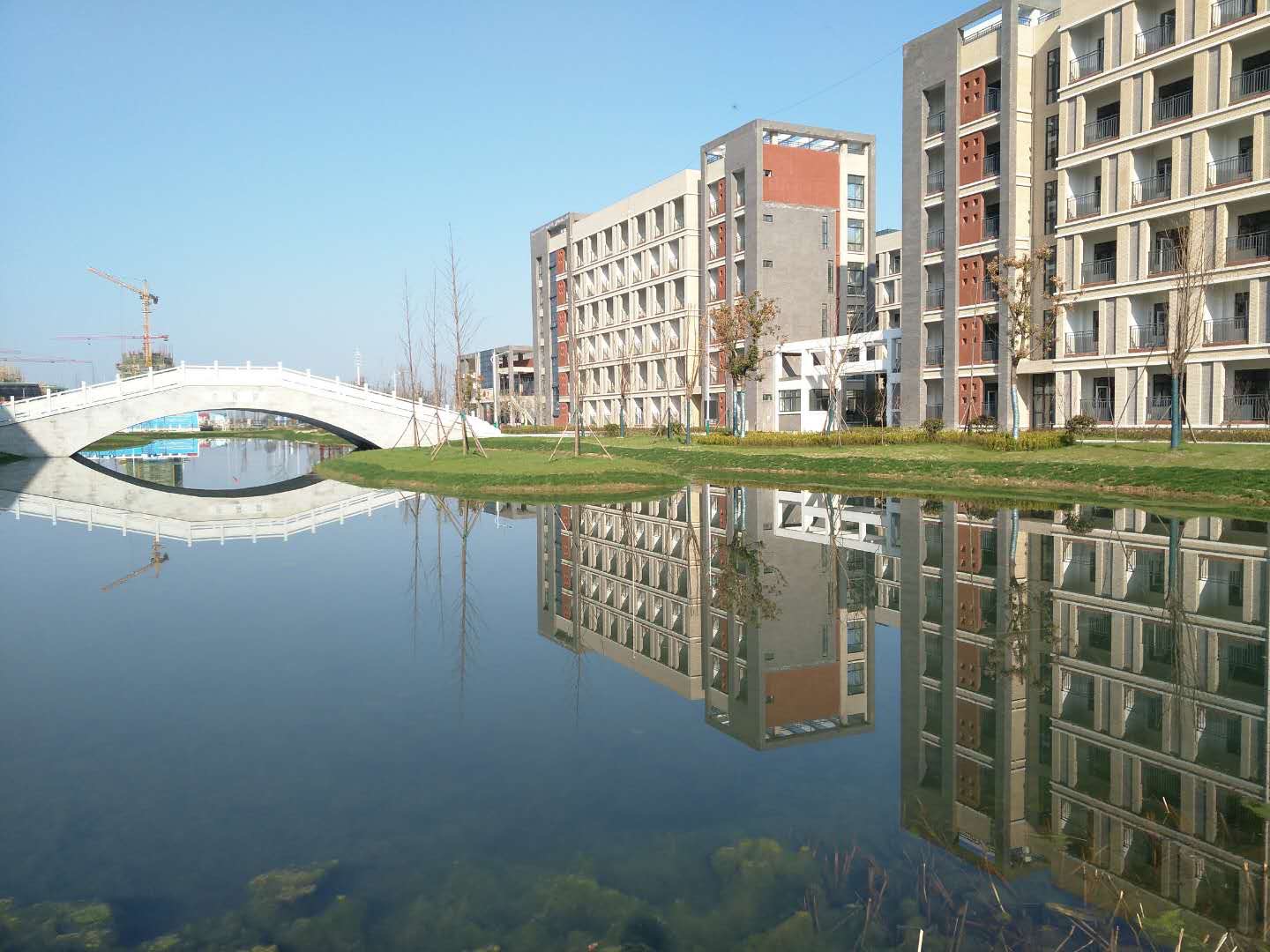  p data-id="gnbpqyuzag">舒城二中始建于1972年,是一所完全中学.