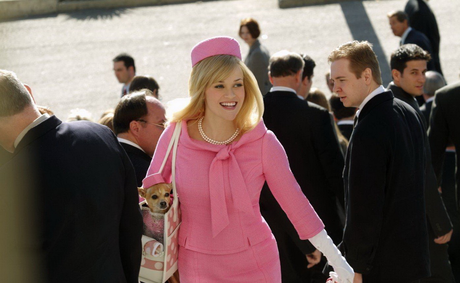 律政俏佳人2legallyblonde2:red,white&blonde(2003) 小乖鱼宝宝 2