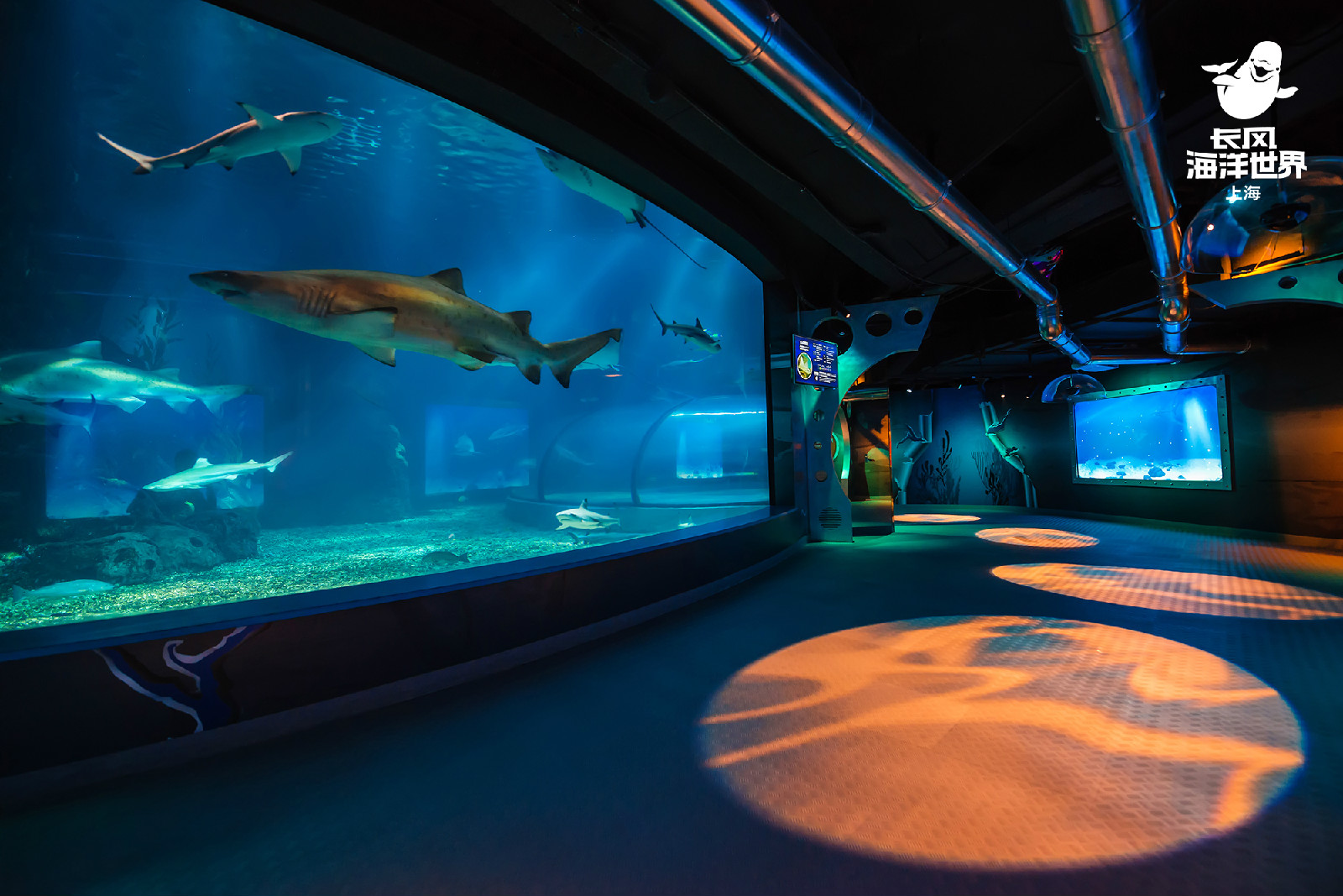  p>上海长风海洋世界隶属于 a target="_blank" href="/item/欧洲